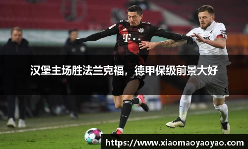 汉堡主场胜法兰克福，德甲保级前景大好