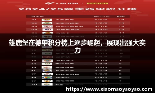 雄鹿堡在德甲积分榜上逐步崛起，展现出强大实力