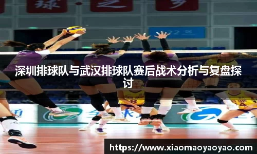 深圳排球队与武汉排球队赛后战术分析与复盘探讨