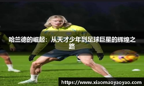 哈兰德的崛起：从天才少年到足球巨星的辉煌之路
