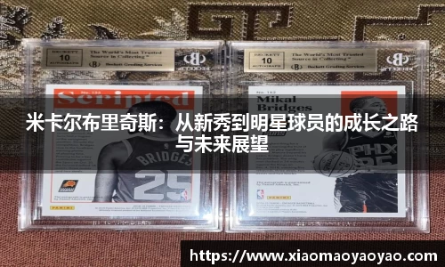 易游体育官网
